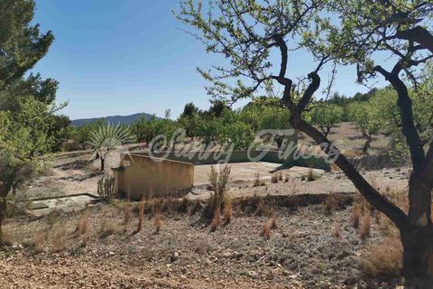 Masia a Salinas, Alicante, Salinas - € 85.000 | Ref: SF0447 - foto 29